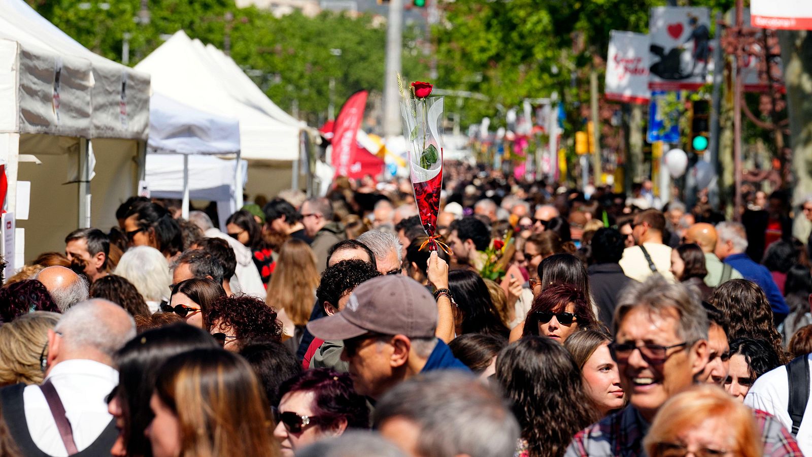 Los catalanes celebran el Día de Sant Jordi - Diario 24 | Ver