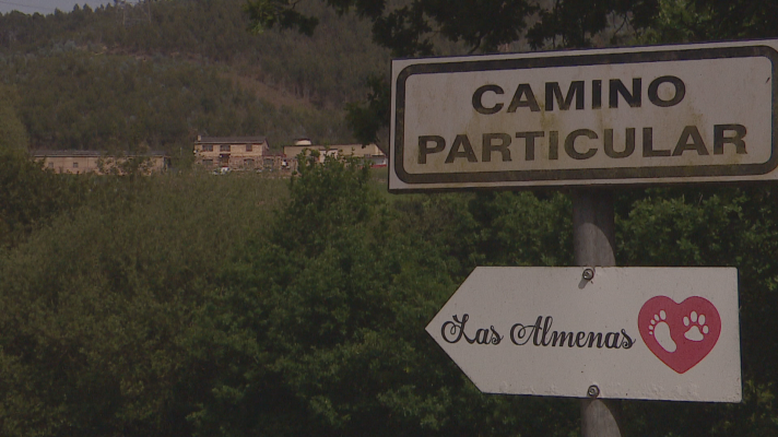 Panorama Regional - Rescatados más de 300 perros de un criadero de Gijón