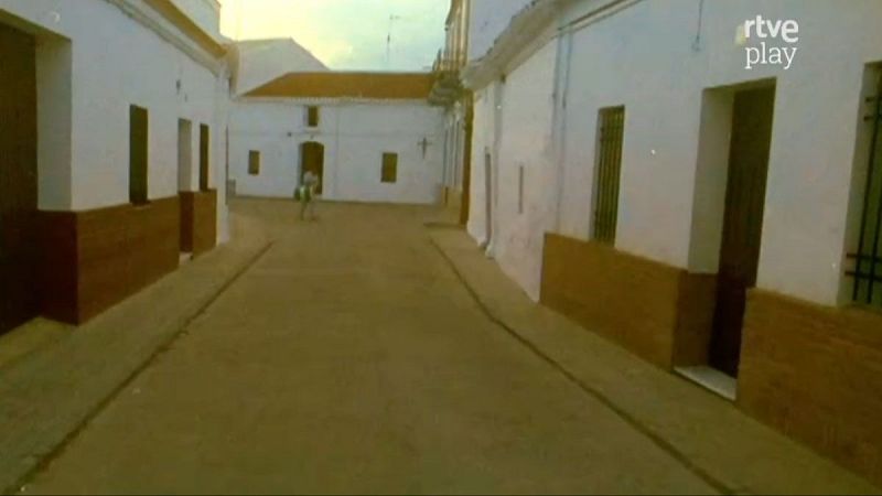 El bosque sagrado - Ma�anita de San Juan - El bosque sagrado | Ver