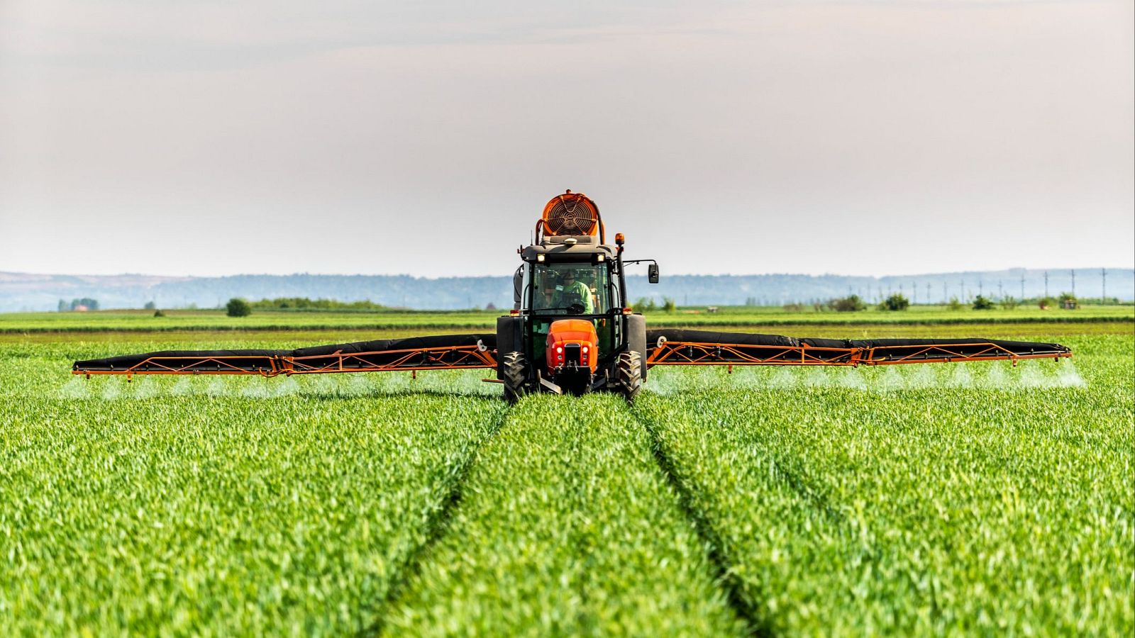 El bloque de Ormuz frena el 30% de fertilizantes en el mundo - Telediario 1 | Ver