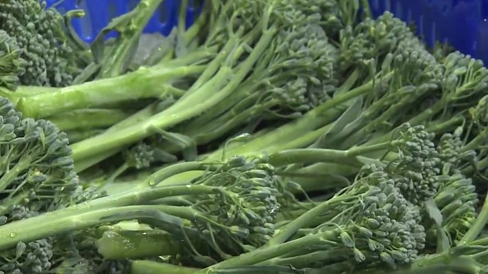 Noticias Murcia - El bimi: un superalimento oriental y un gran desconocido en España