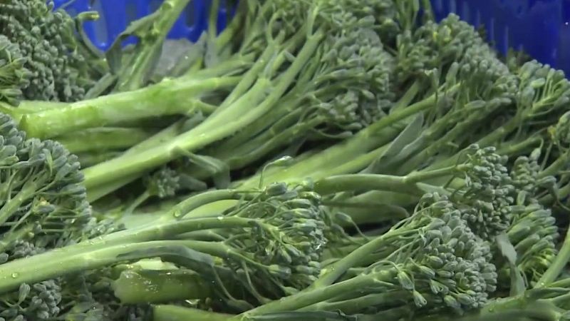 El bimi: un superalimento oriental y un gran desconocido en España - Noticias Murcia | Ver