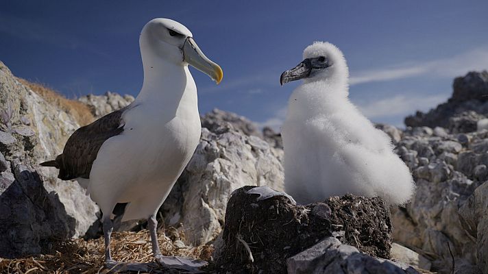 Animales extraordinarios de Australia - Dedicación