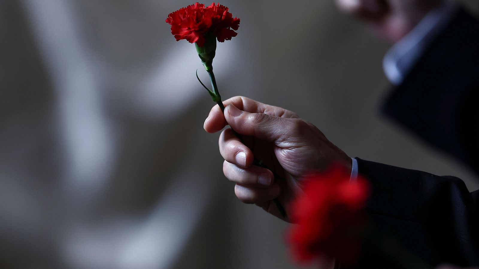 50 aniversario de la entrada en vigor de la Constitución  en Portugal | Ver