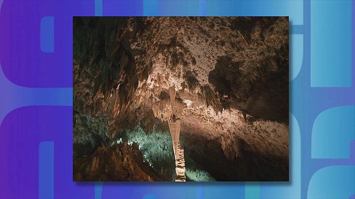 Saber y ganar - Saber y ganar. Edición de fin de semana - 25/04/26