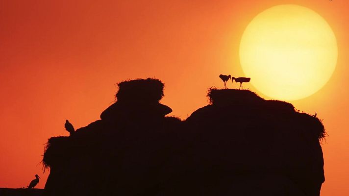 Som Documentals - La Mediterrània, la vida sota setge: L'odissea per una nova vida