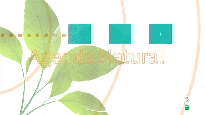 La aventura del Saber - Agenda natural