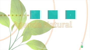 Agenda natural