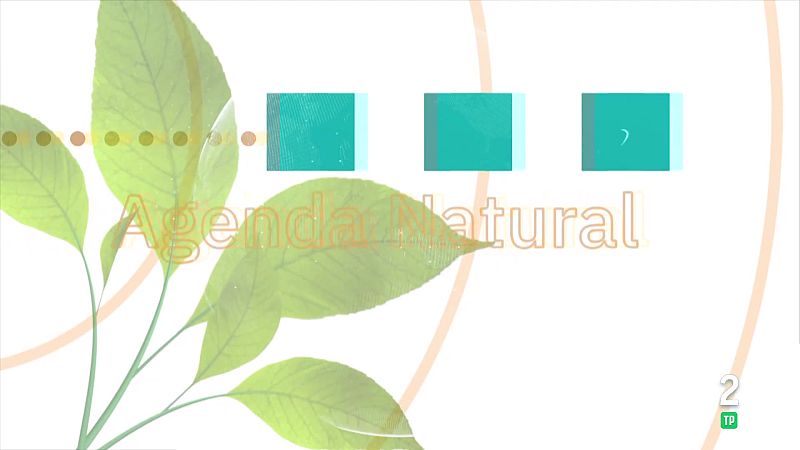 Agenda natural - La aventura del Saber | Ver