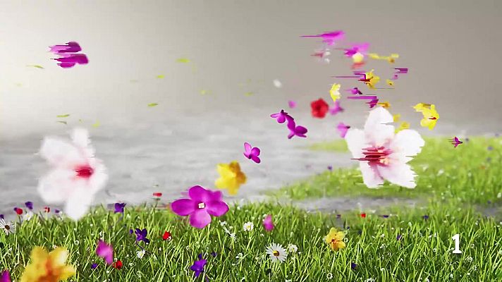 Noticias Murcia - El Tiempo en la Region de Murcia - 27/04/2025