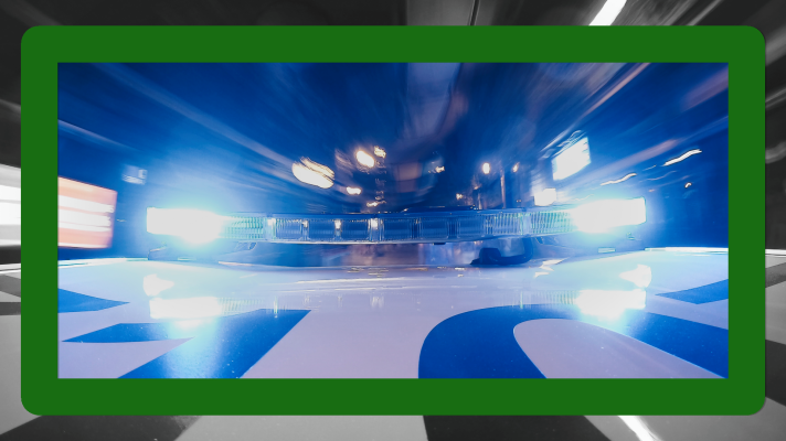 Noticias de Extremadura - Robo en el Museo Arqueológico