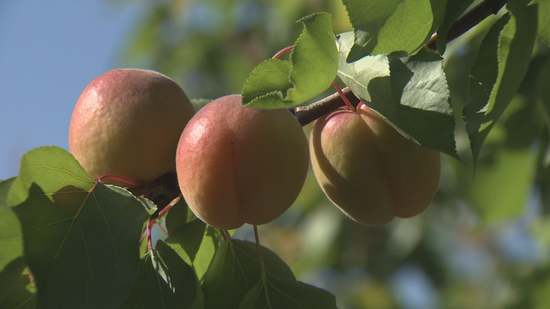 Noticias Aragón - 27/04/26 - ver ahora