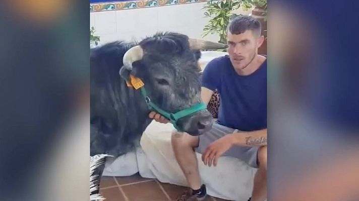 Mañaneros 360 - "Me quieren quitar mi toro bravo"