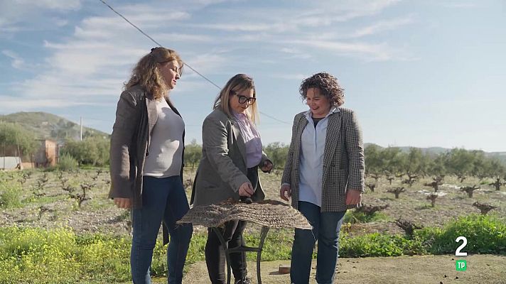 La aventura del Saber - Cooperativa ‘Corazón de almendra, piel de olivo’
