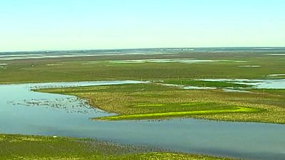 'Antes de Marte': El nuevo humedal de Doñana