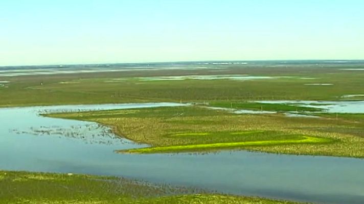 Directo al grano - 'Antes de Marte': El nuevo humedal de Doñana