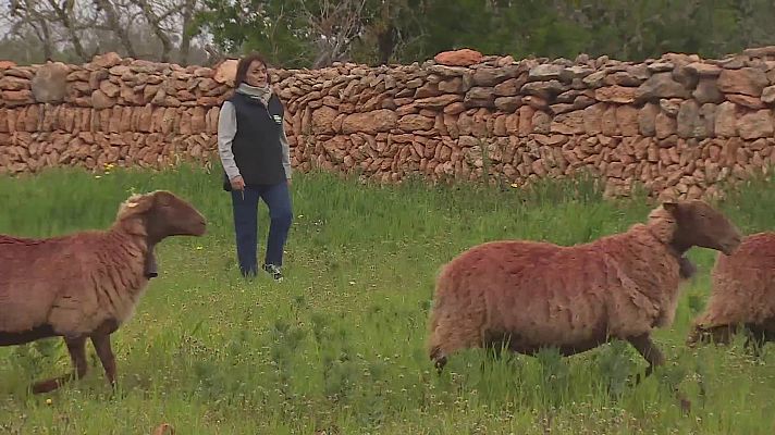 Objetivo igualdad - Mujeres al frente de explotaciones ganaderas
