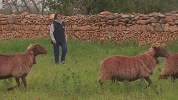 Mujeres al frente de explotaciones ganaderas