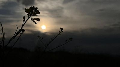 Día espejo,  el ensayo general del eclipse solar