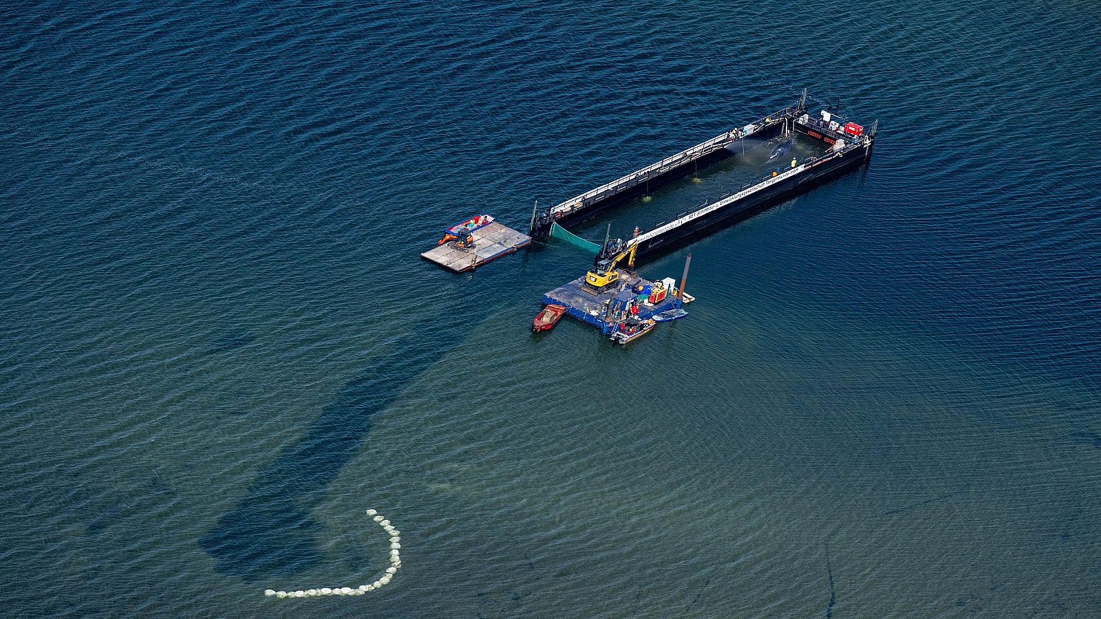 Transportan hacia mar abierto a la ballena jorobada que quedó varada en la costa alemana | Ver