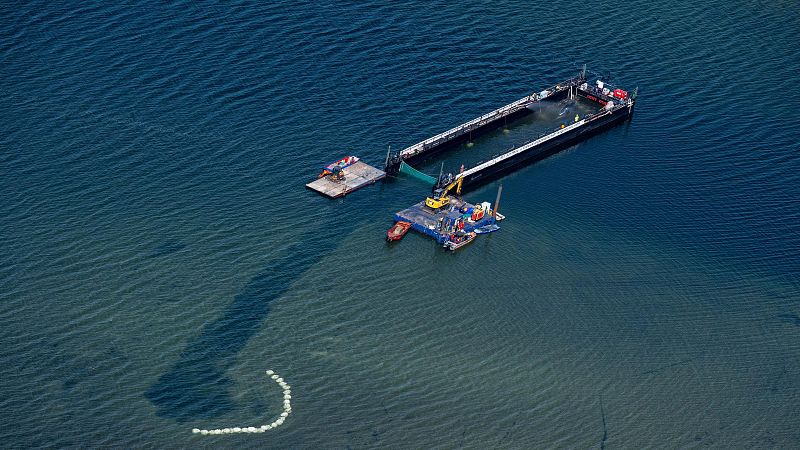 Transportan hacia mar abierto a la ballena jorobada que quedó varada en la costa alemana | Ver