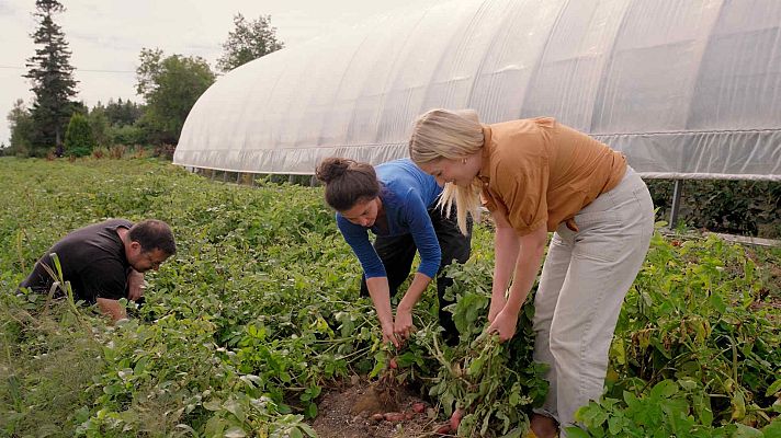 Las cuatro esquinas del plato - Episodio 4