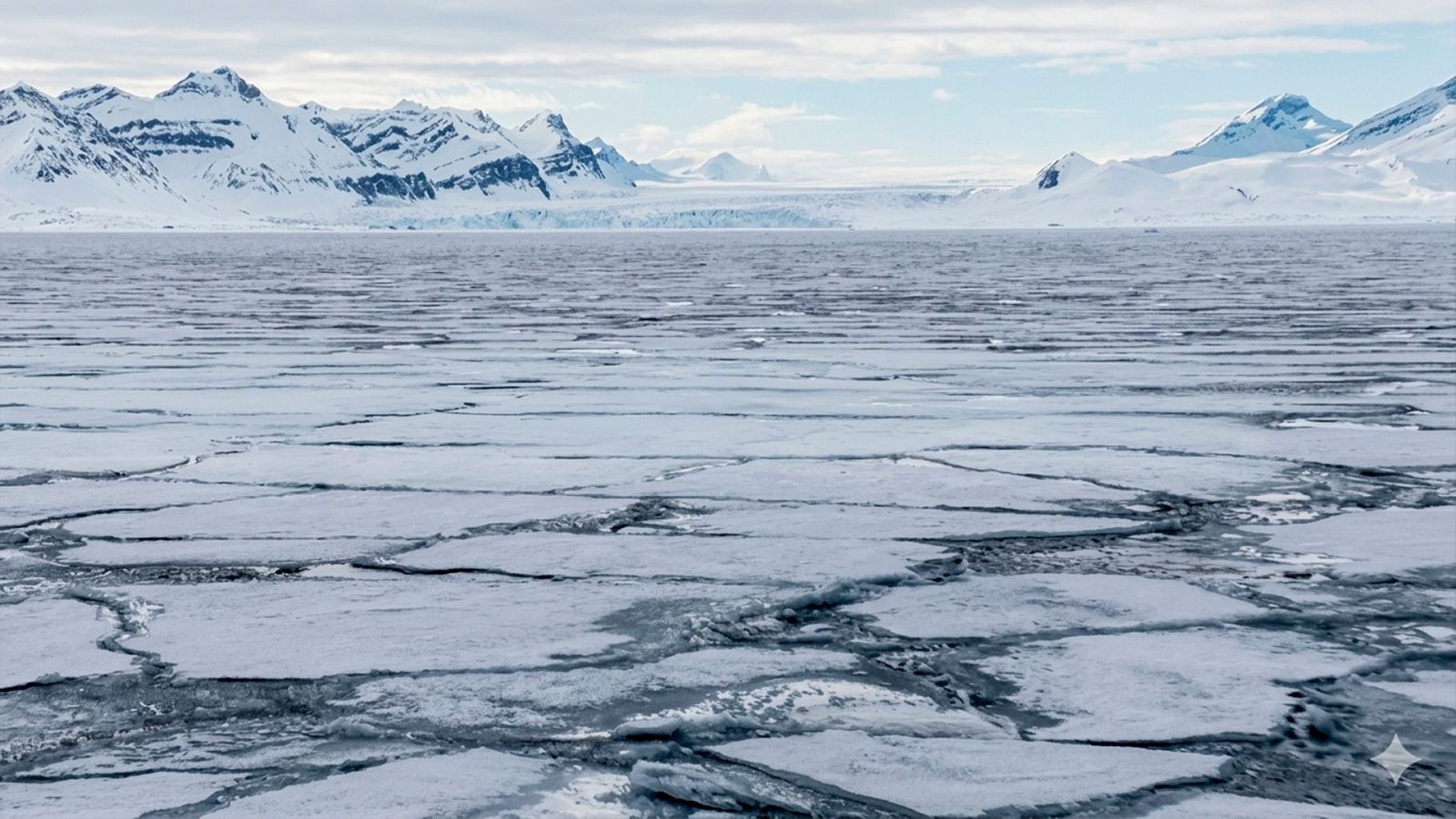 40 años contando el mundo