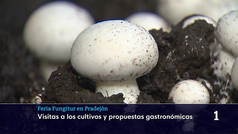 Informativo Telerioja - 04/05/26 - Informativo Telerioja | Ver