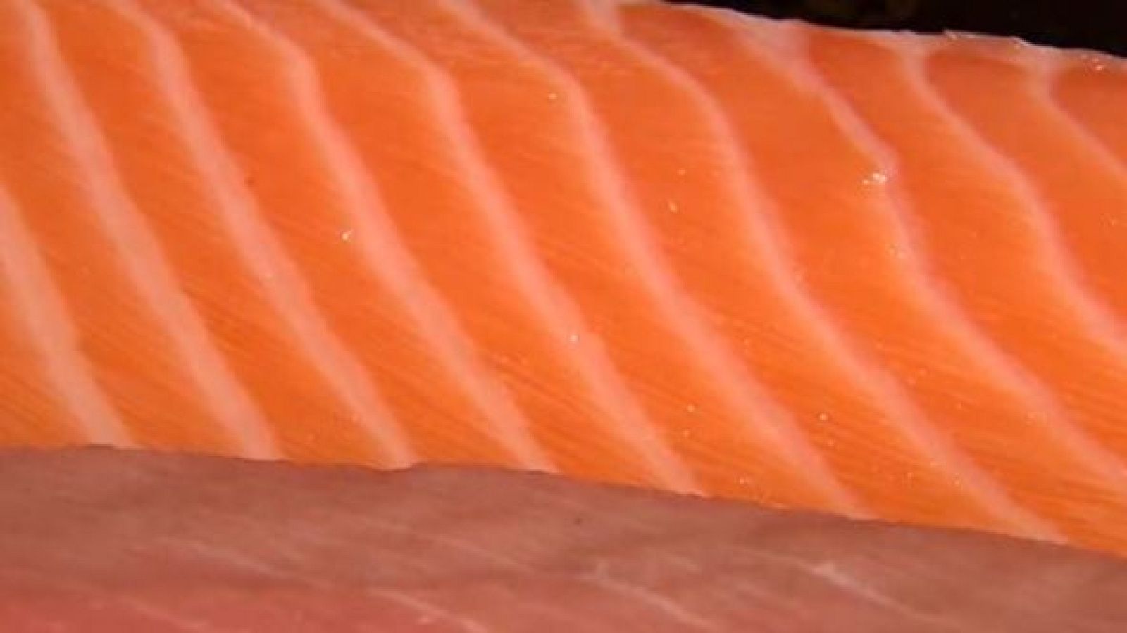 De las propiedades a los riesgos del salmón, en 'Comando DAG' - Directo al grano | Ver