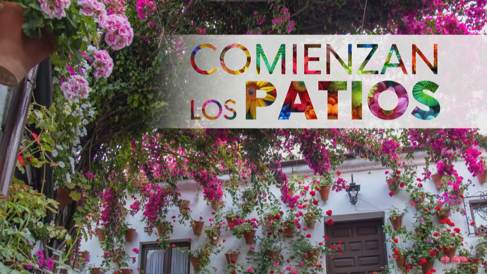 Comienzan los patios de Córdoba - Noticias Andalucía | Ver