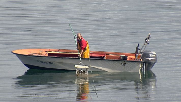 Telexornal - Galicia - Volve o marisqueo a flote da Illa de Arousa tras catro meses de paro biolóxico