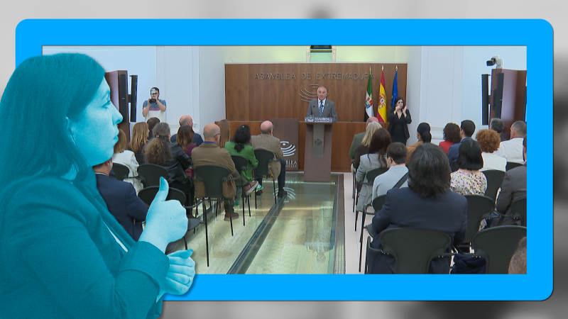 Convención de la ONU sobre discapacidad - Ver ahora