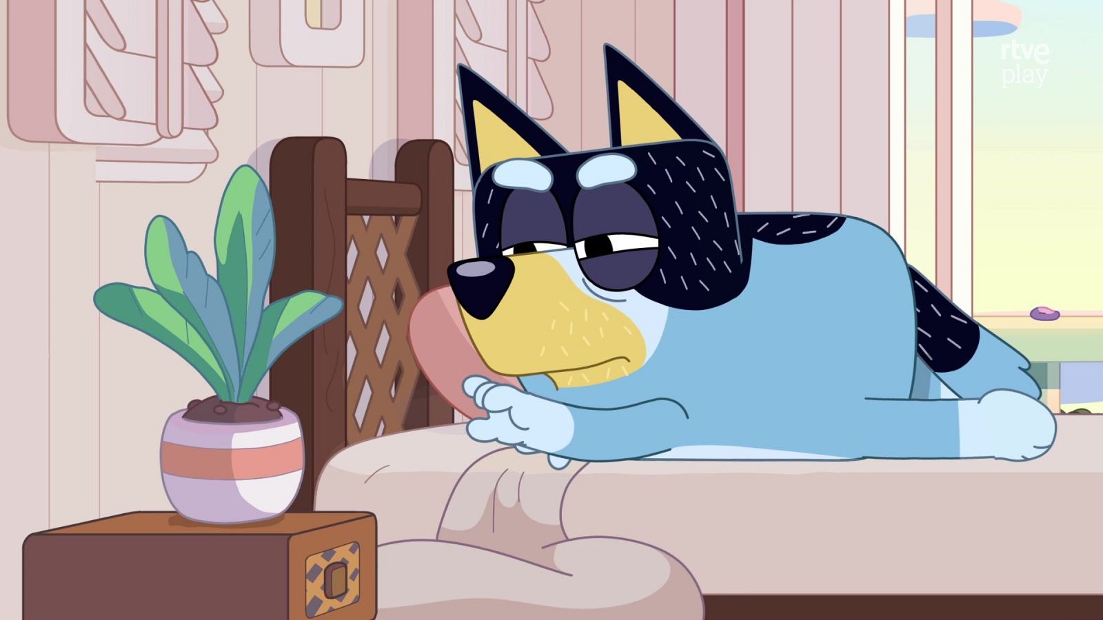 Bluey - La tortilla - Bluey | Ver