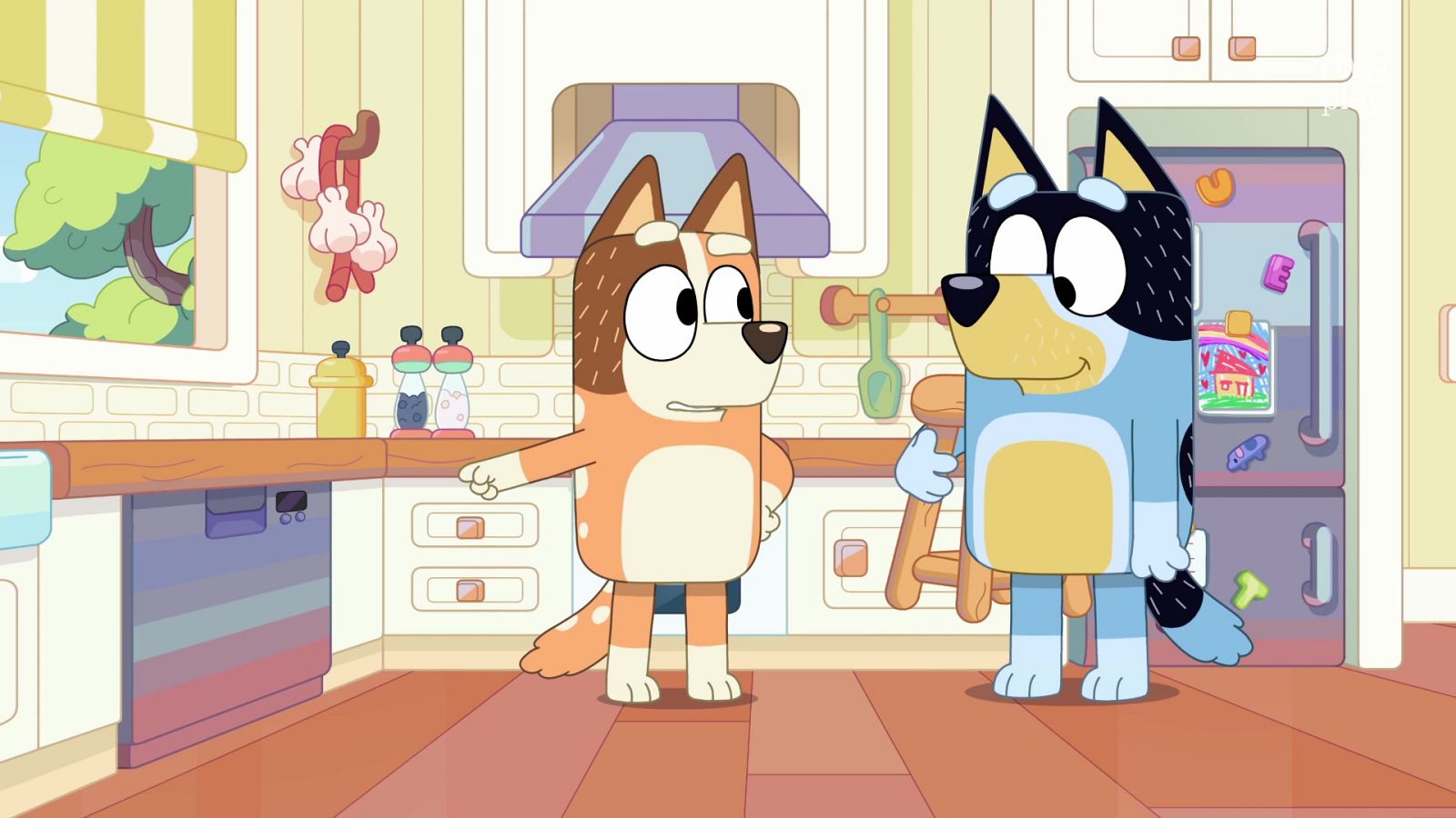 Bluey - Nací ayer - Bluey | Ver