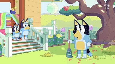 Bluey - Mini Bluey - Bluey | Ver