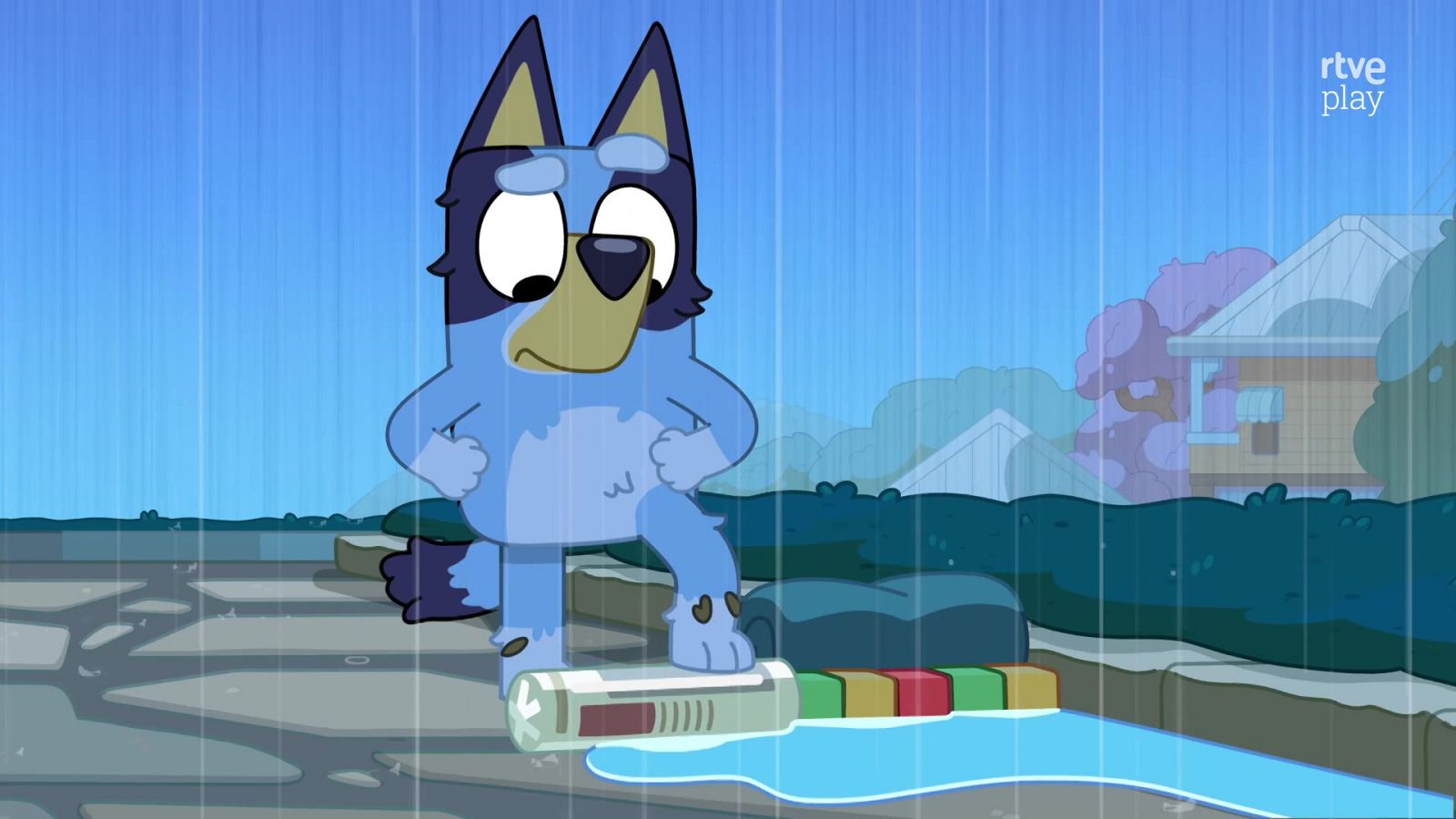 Bluey - La lluvia - Bluey | Ver
