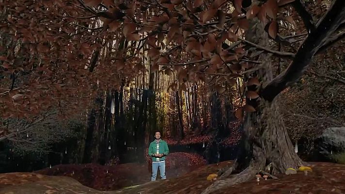 Aquí la Terra - Emocions, bosc inundat i magdalenes