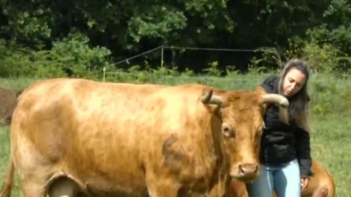 Directo al grano - Lucía Casal, la joven ganadera que rompe barreras en Galicia
