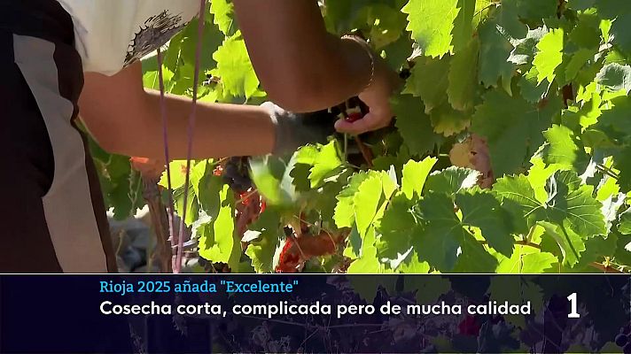 Informativo Telerioja - Informativo Telerioja - 05/05/26