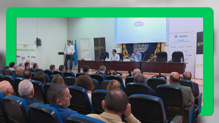 Noticias de Extremadura - Jornadas de la aceituna de mesa en Almendralejo