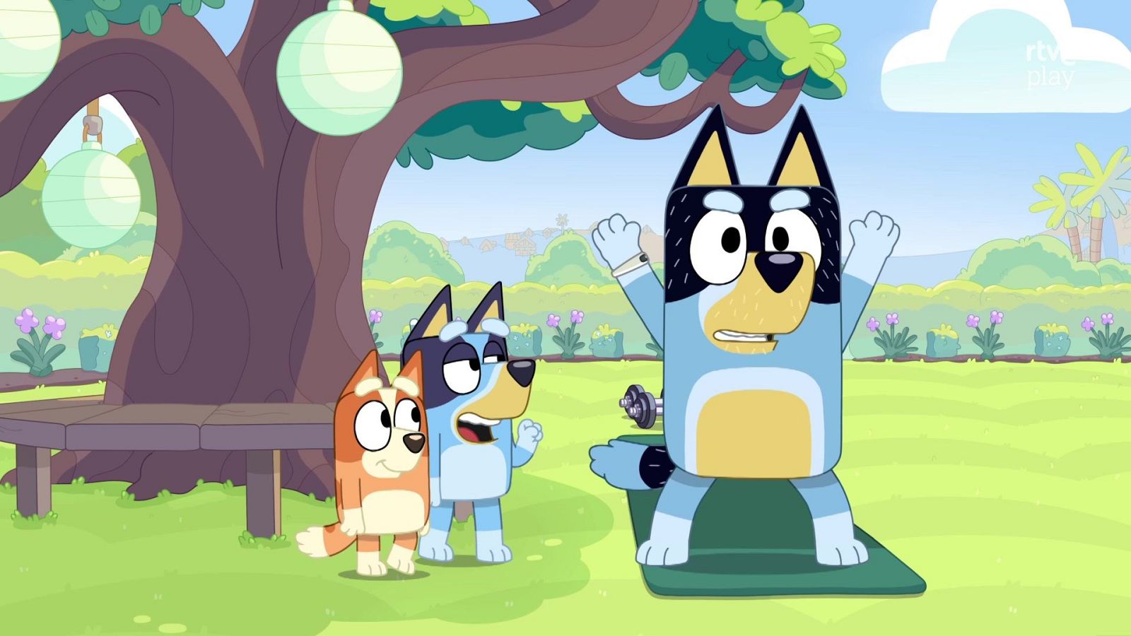 Bluey - Ejercicio - Bluey | Ver