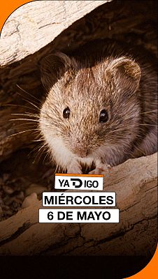 YaTDigo - YaTDigo 6 de mayo de 2026