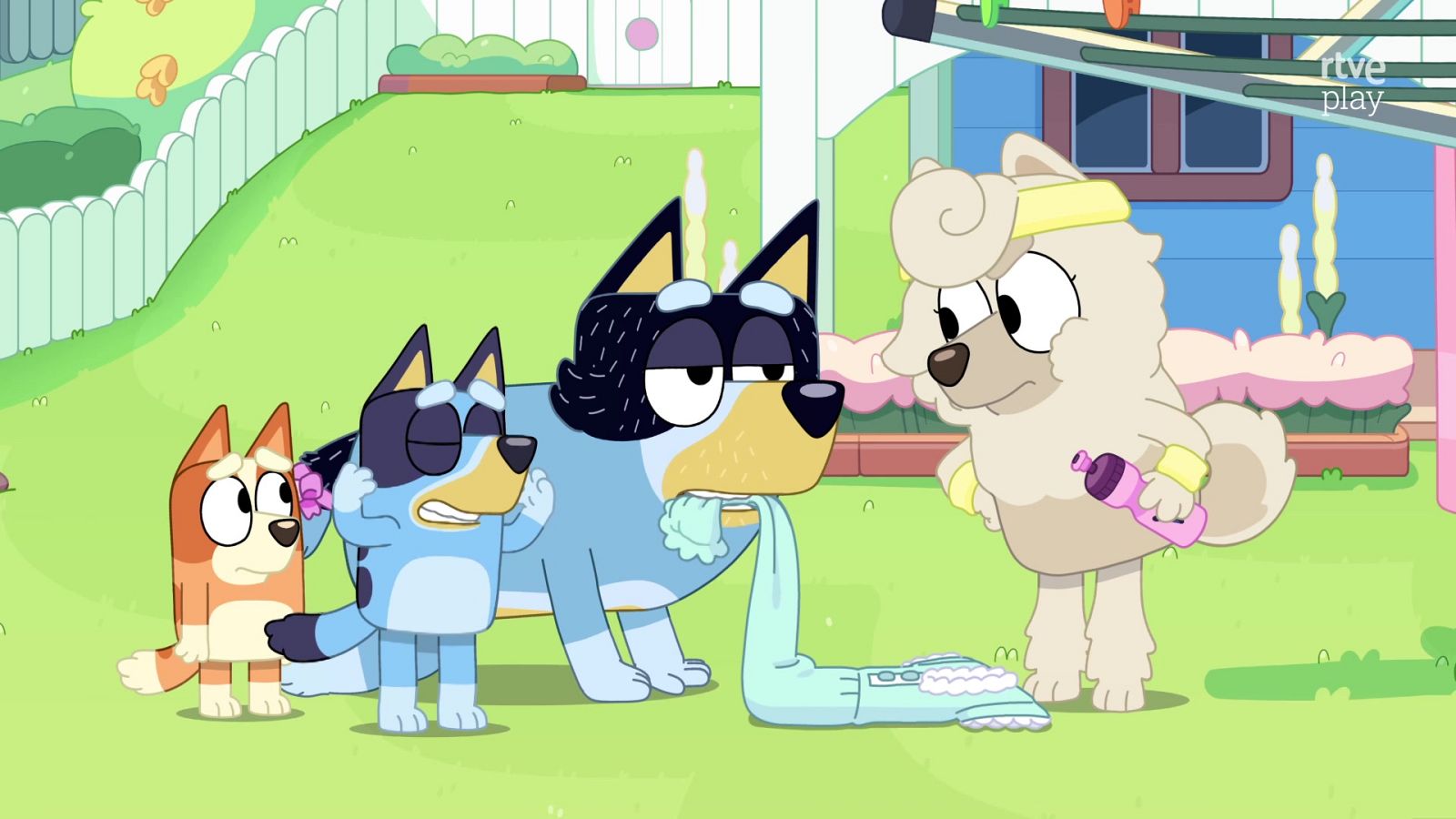 Bluey - Corderito - Bluey | Ver