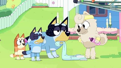 Bluey - Corderito - Bluey | Ver
