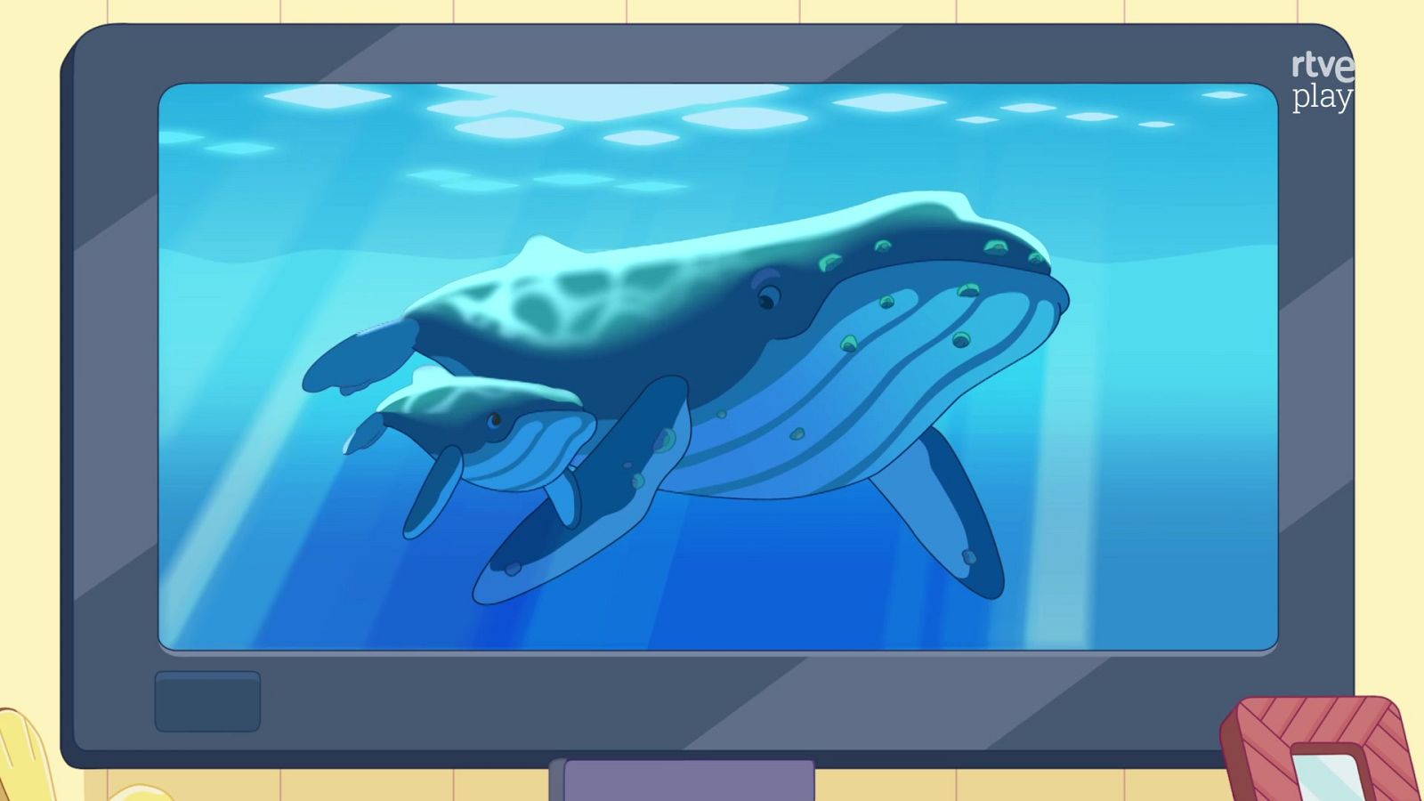 Bluey - Ver ballenas - Bluey | Ver