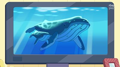 Bluey - Ver ballenas - Bluey | Ver