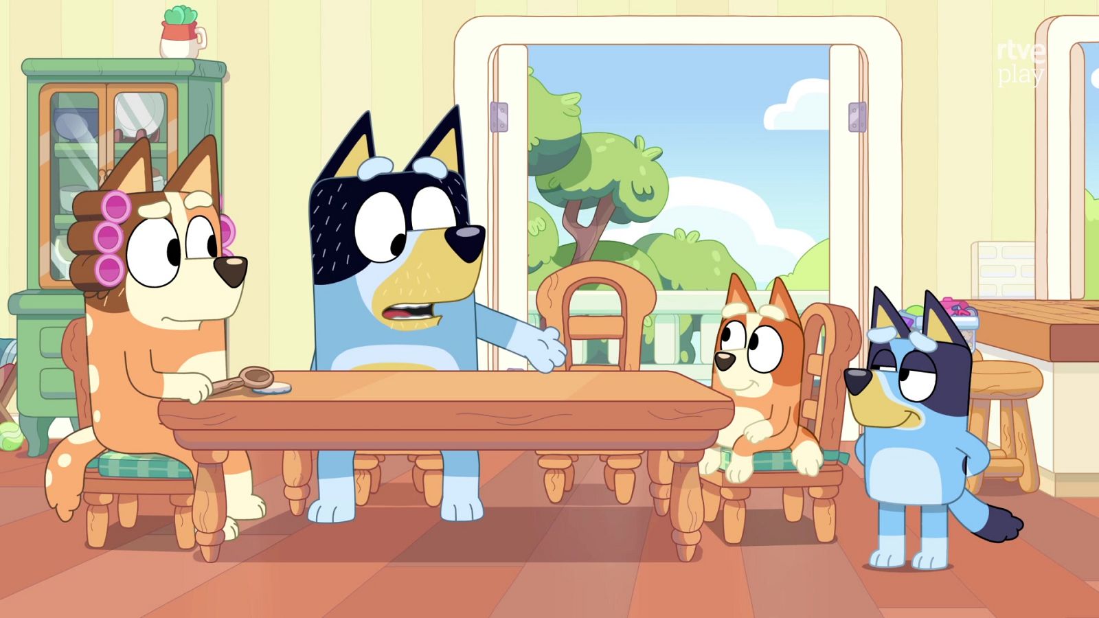 Bluey - Juicio familiar - Bluey | Ver