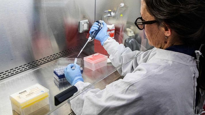  - Técnico de salud pública de la OMS sobre el hantavirus: "Hay que identificar quién infectó a quién"