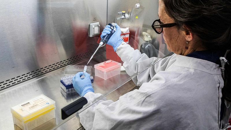 Técnico de salud pública de la OMS sobre el hantavirus: "Hay que identificar quién infectó a quién" | Ver