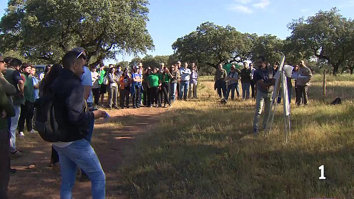 Noticias de Extremadura - Prueban el modelo de ayudas de pago por resultados en dehesas de Sierra de San Pedro y Monfragüe